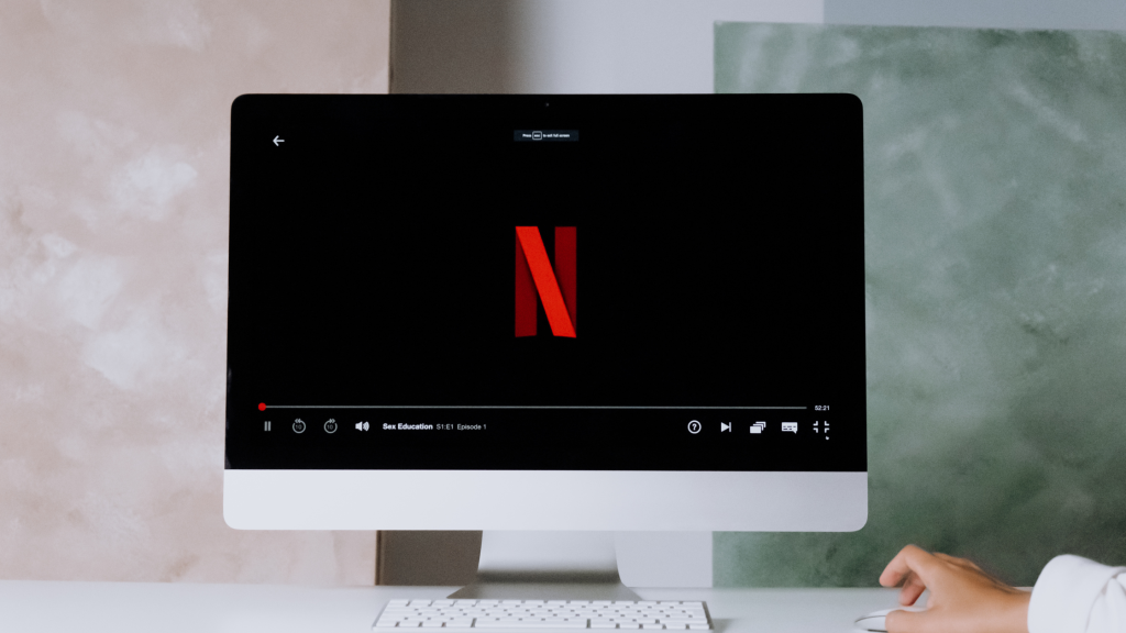 Netflix streaming service