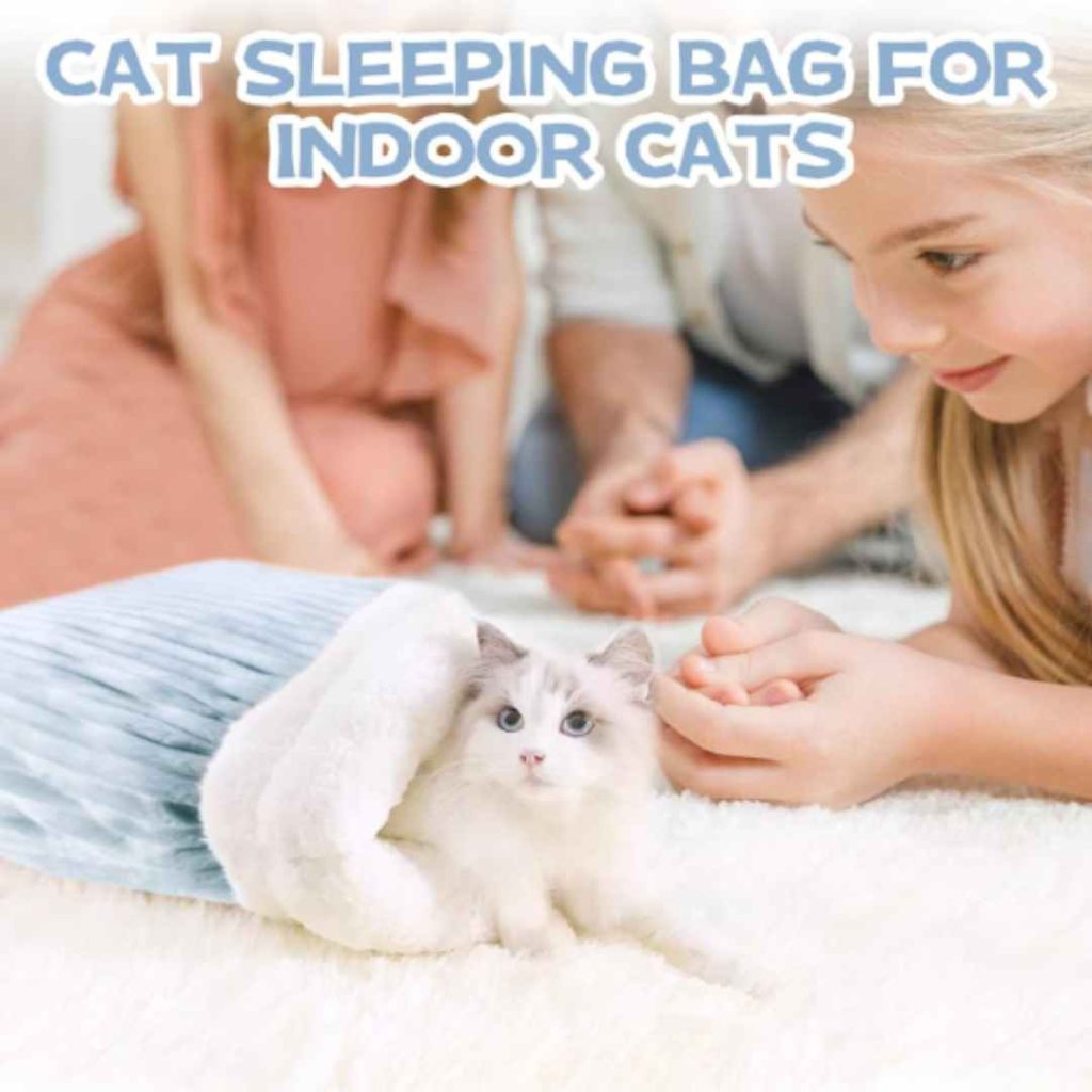 Best 3 Cat Winter Sleeping Bag